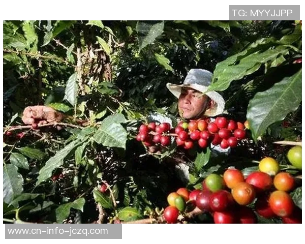 墨西哥与洪都拉斯激战正酣谁能在这场较量中笑到最后